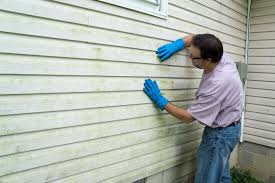 Best Custom Trim and Detailing for Siding  in Orlando, FL